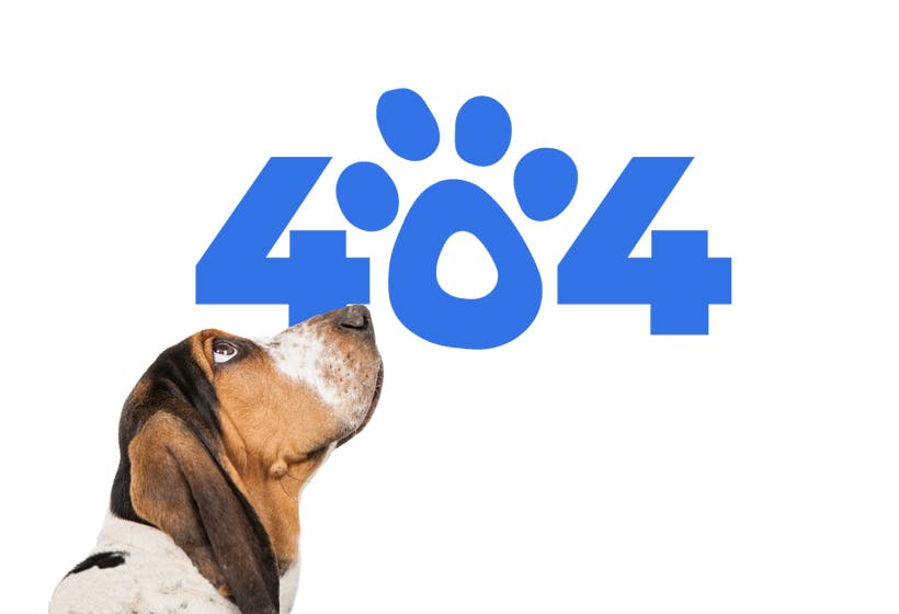 Error 404 - Not found