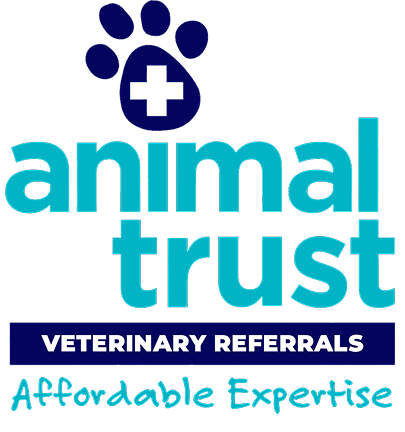 Paw Referrals