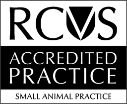 RCVS Accredited Practice — Small Animal Practice