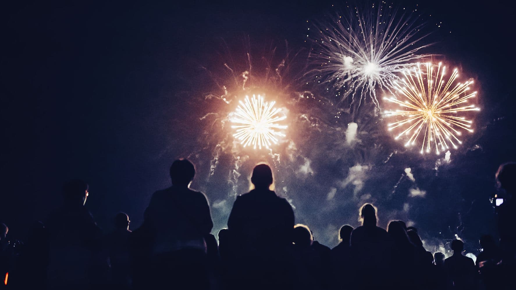 Firework Safety: Reducing the Risk of Pets Escaping or Bolting