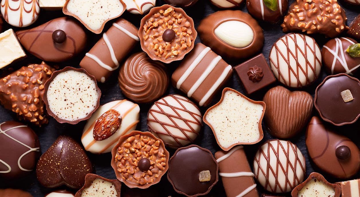 Gallery Detail: Chocolate Poisoning In Dogs