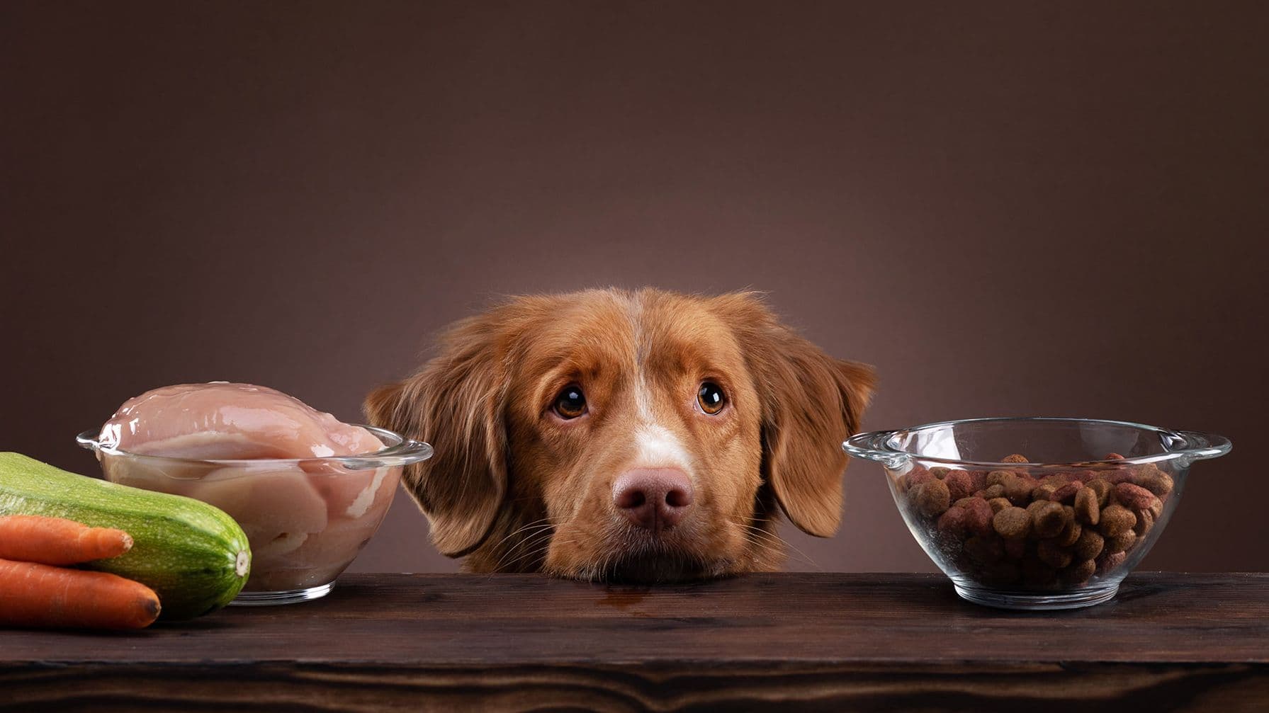 Raw Food: The Benefits and Risks for You and Your Pet