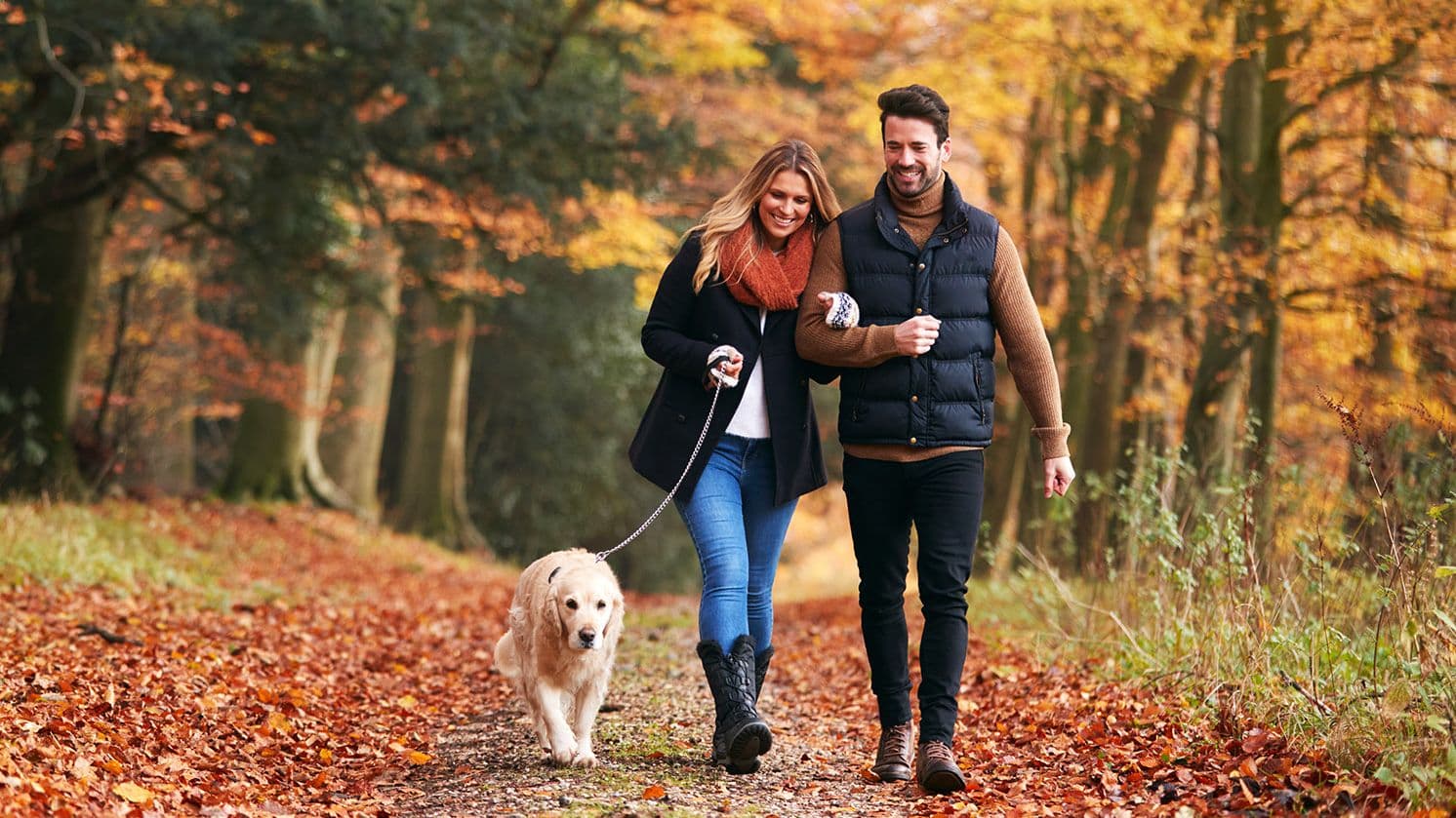 Why are Acorns and Conkers Dangerous to Dogs?