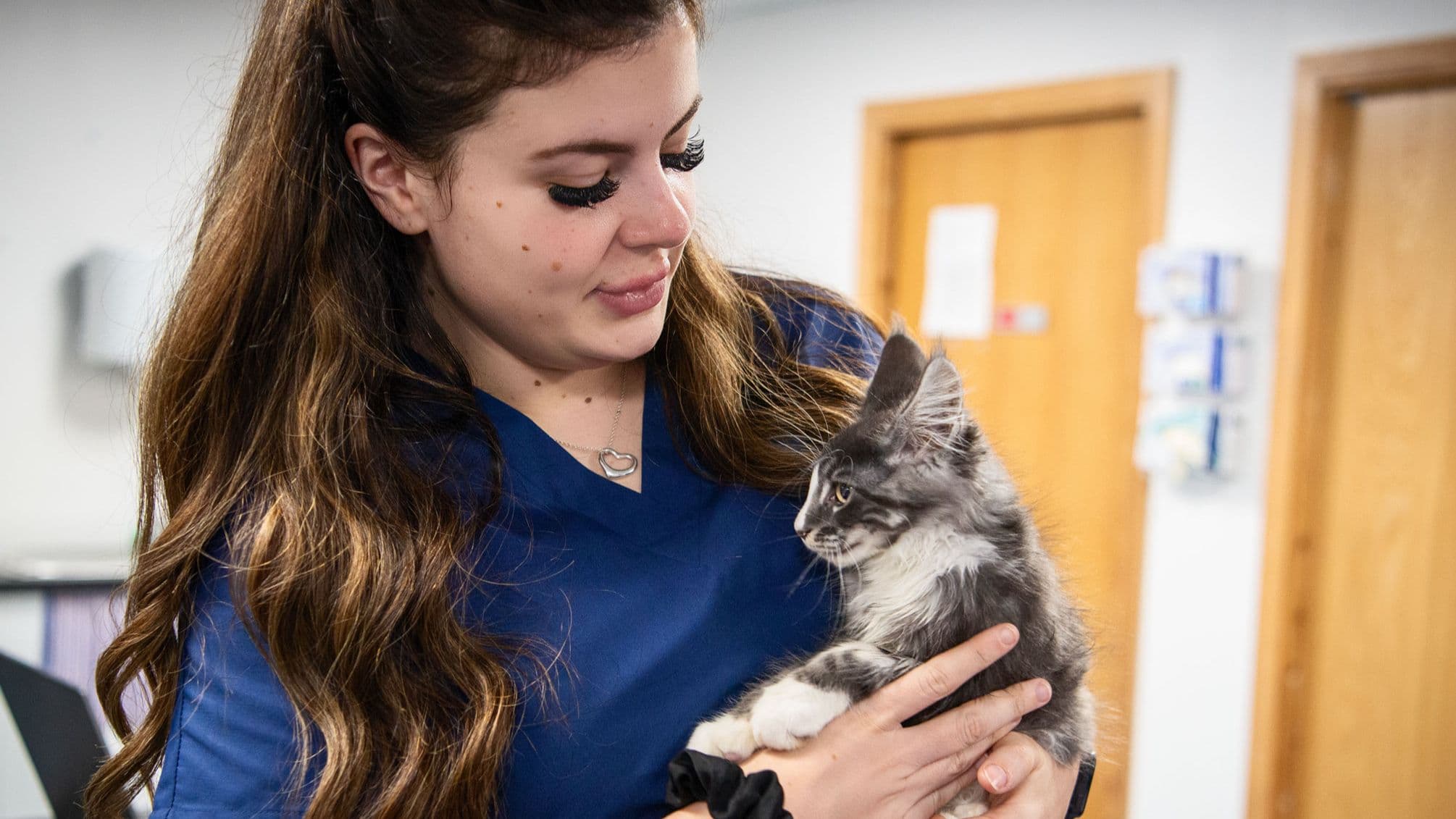 Animal Trust Vets is Coming to St Helens 