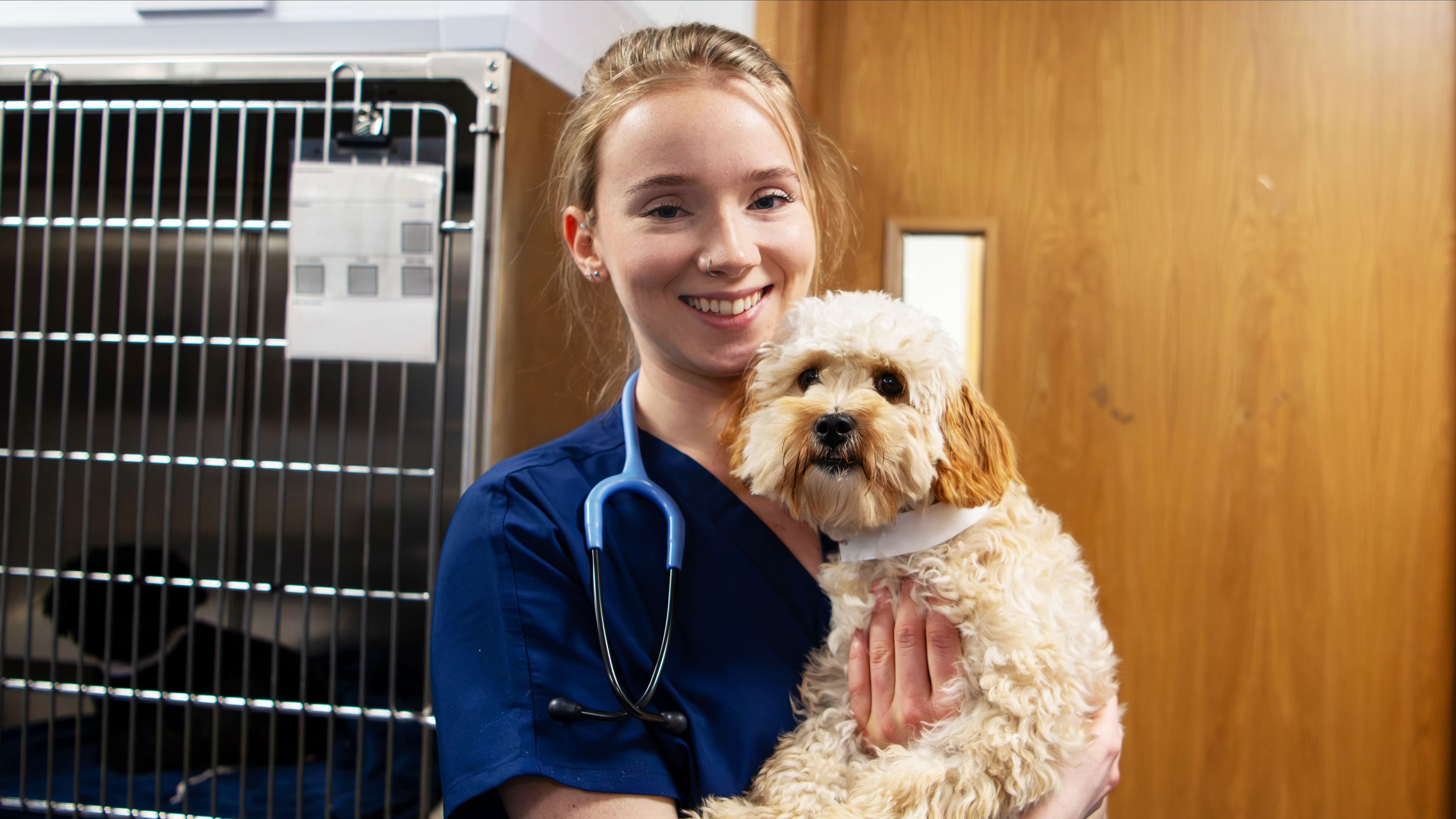 Our Prices at Animal Trust Teesside