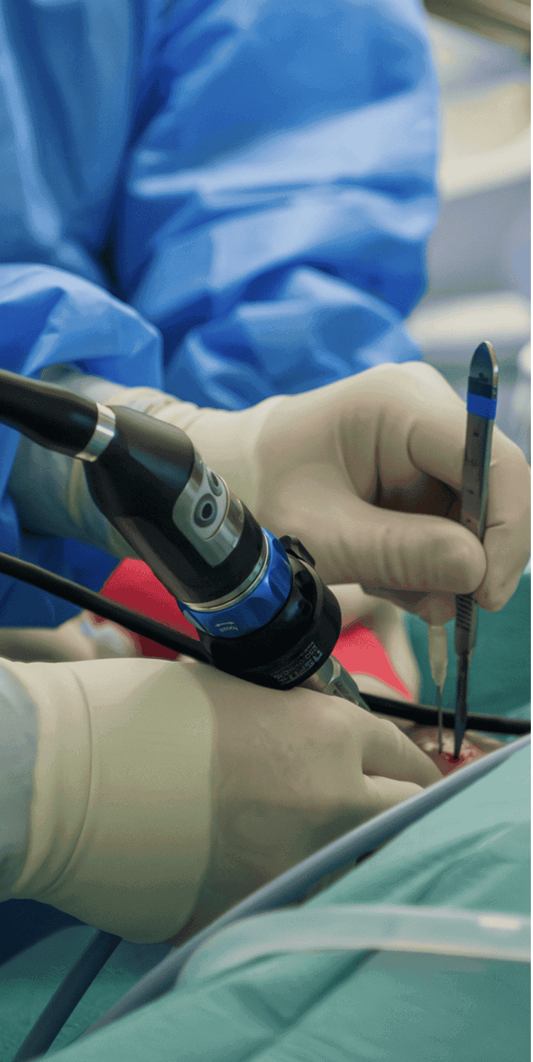 Orthopaedic Surgery for Dogs & Cats