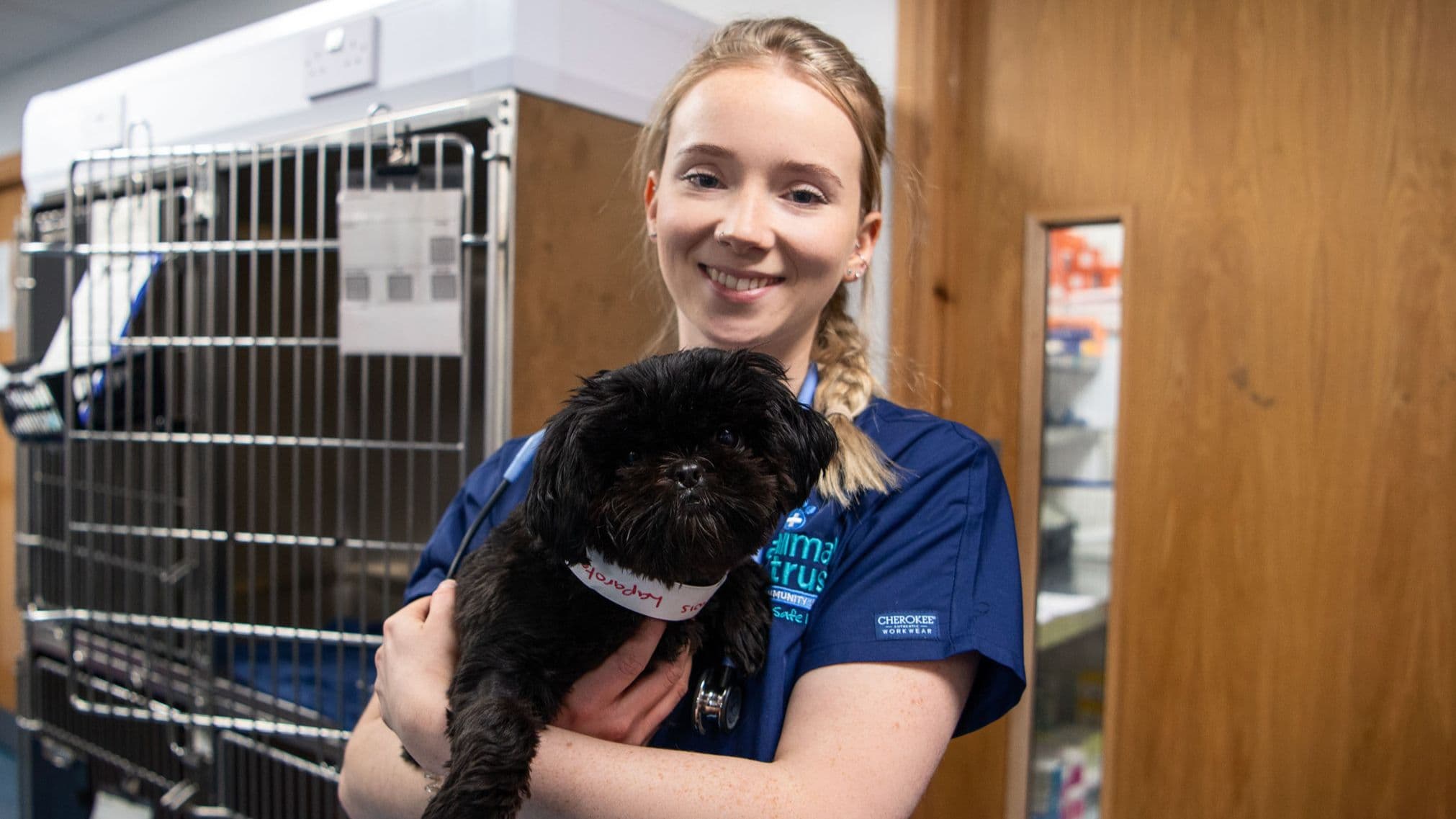 How to arrange a referral with Animal Trust