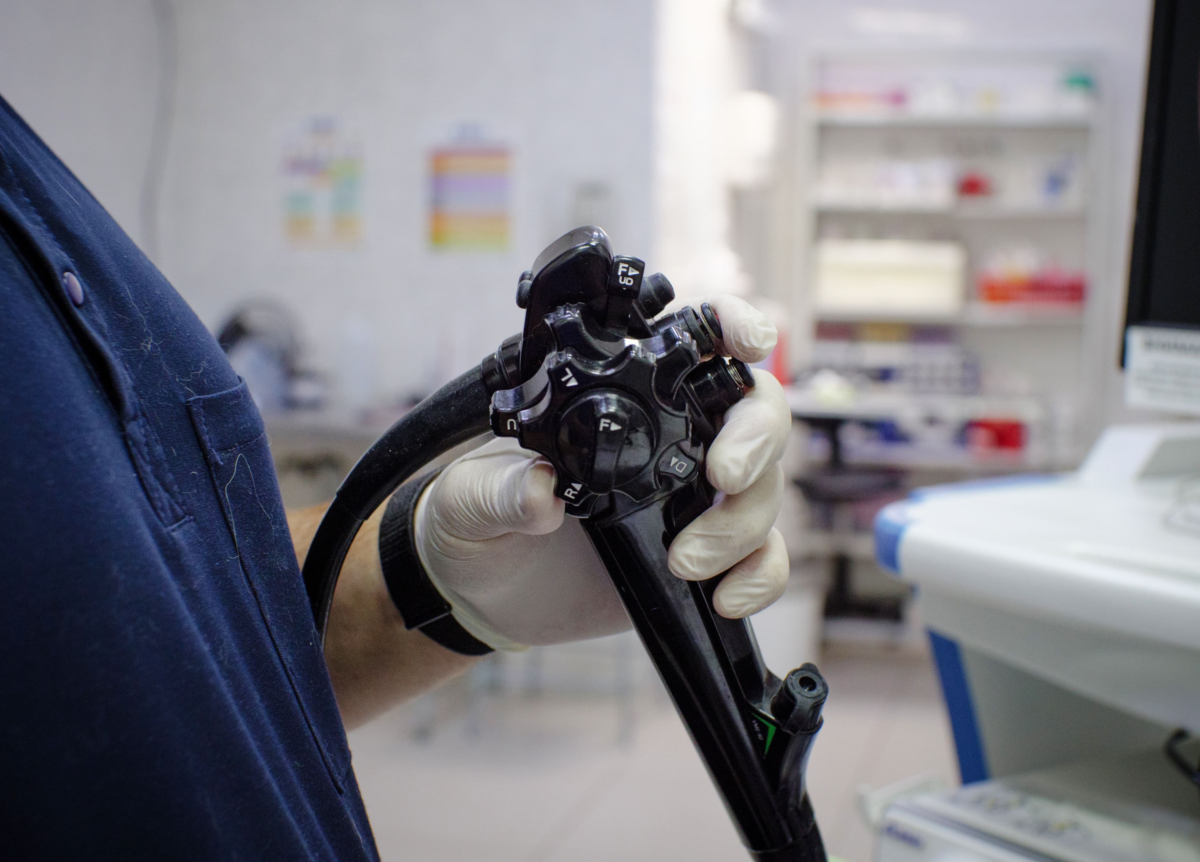 What is a Pet Endoscopy?