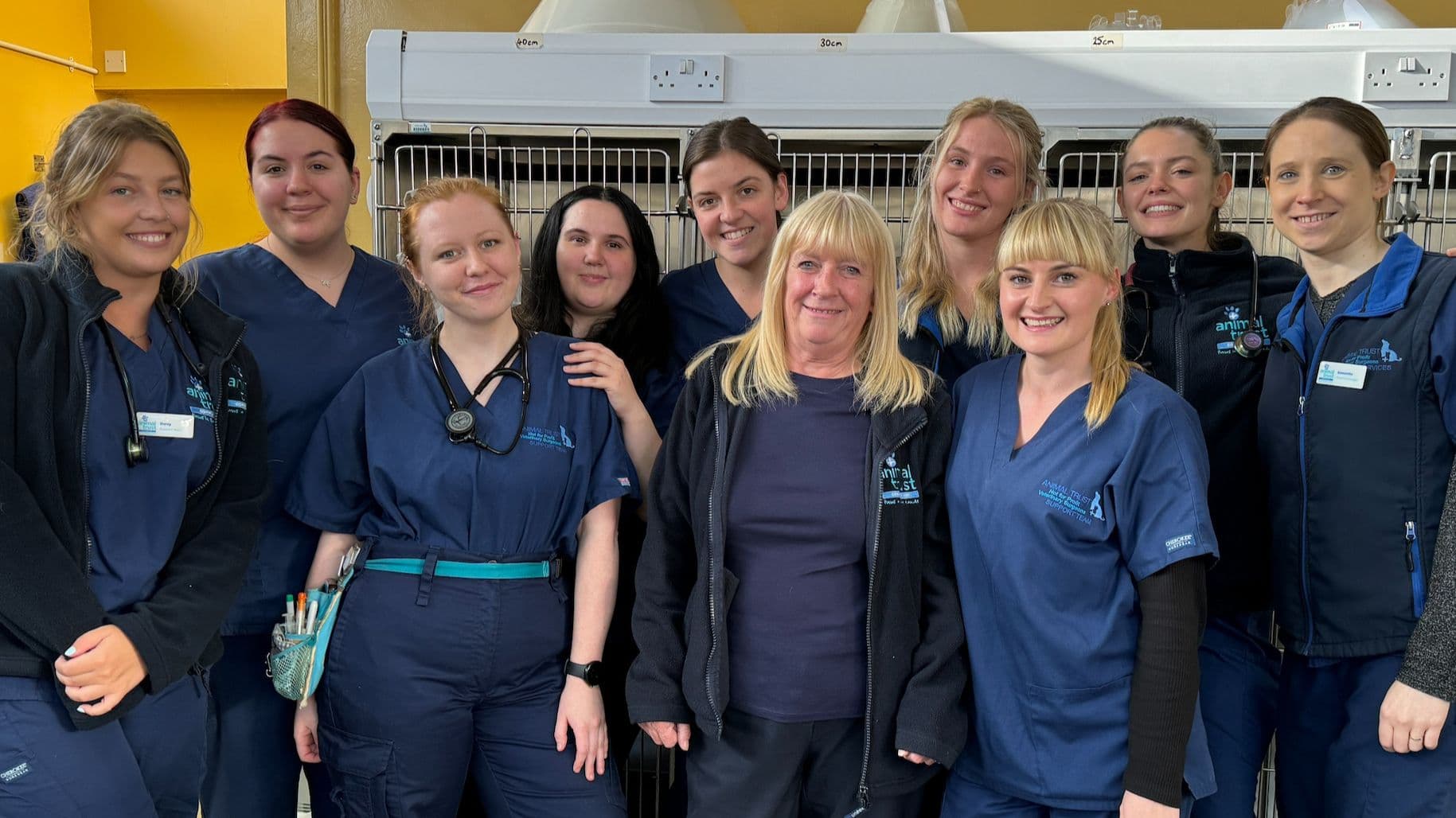 News, Updates & Stories from Animal Trust Vets 