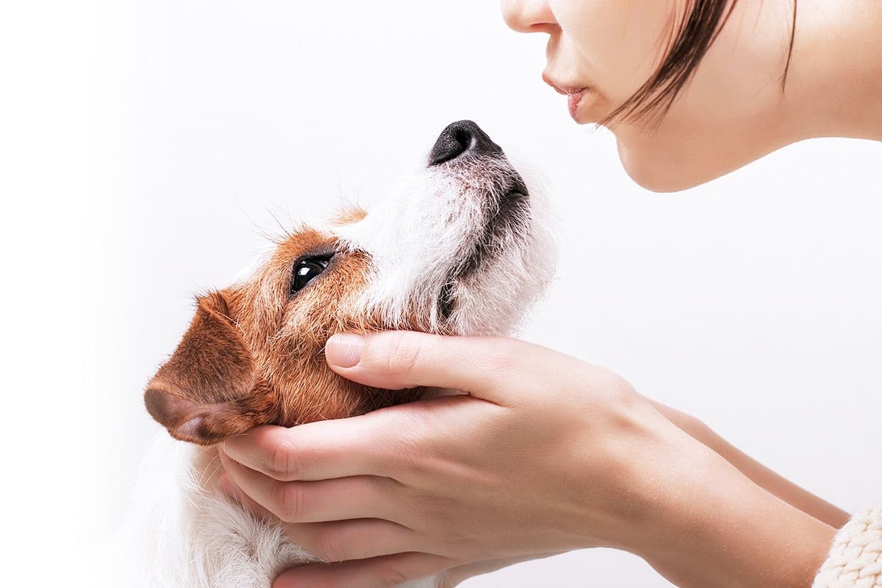 Concerned about your experience? Here’s our policy on how we listen to your concerns.
