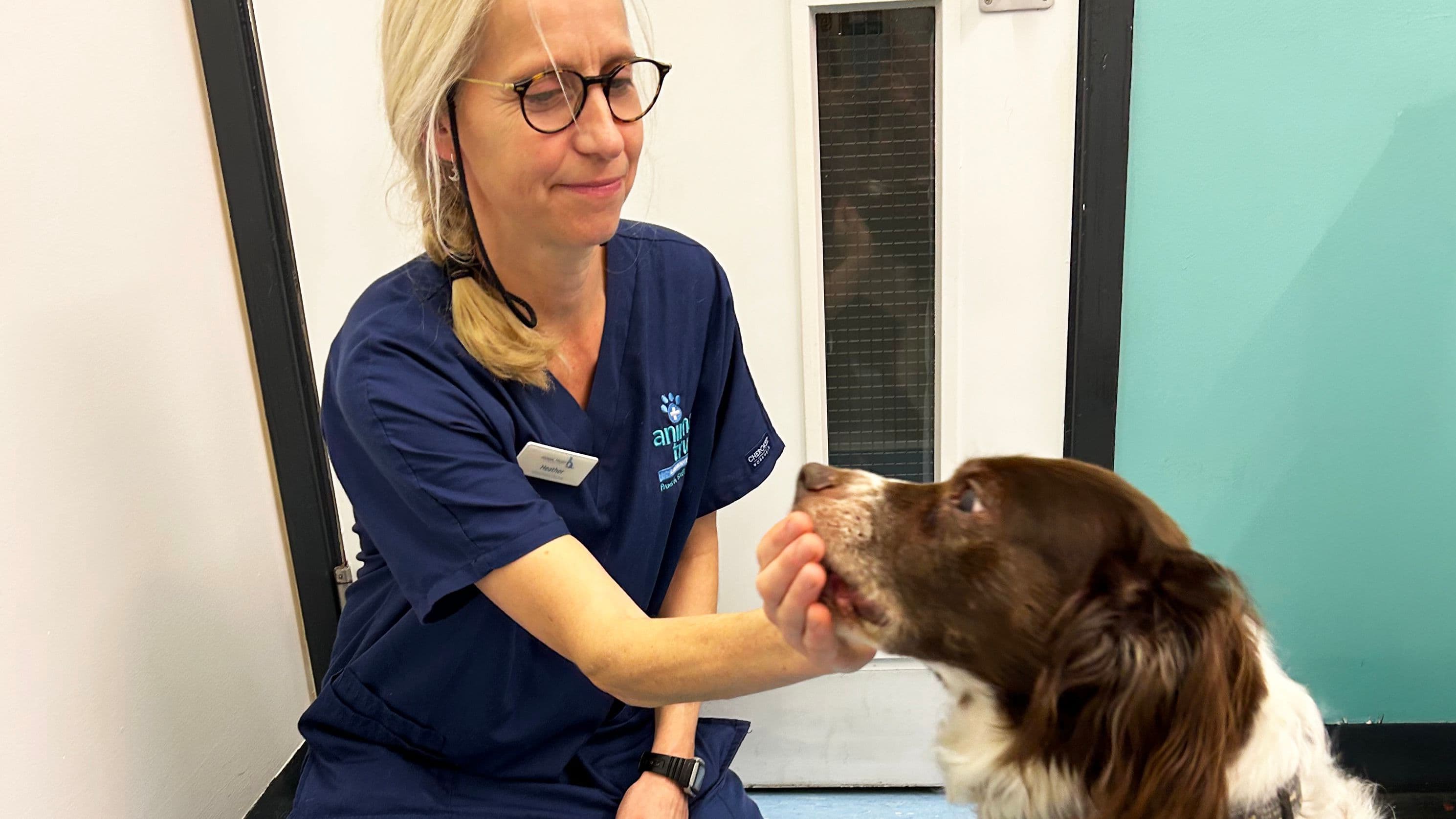 Molly: Animal Trust Wrexham Helping with Vet Anxiety
