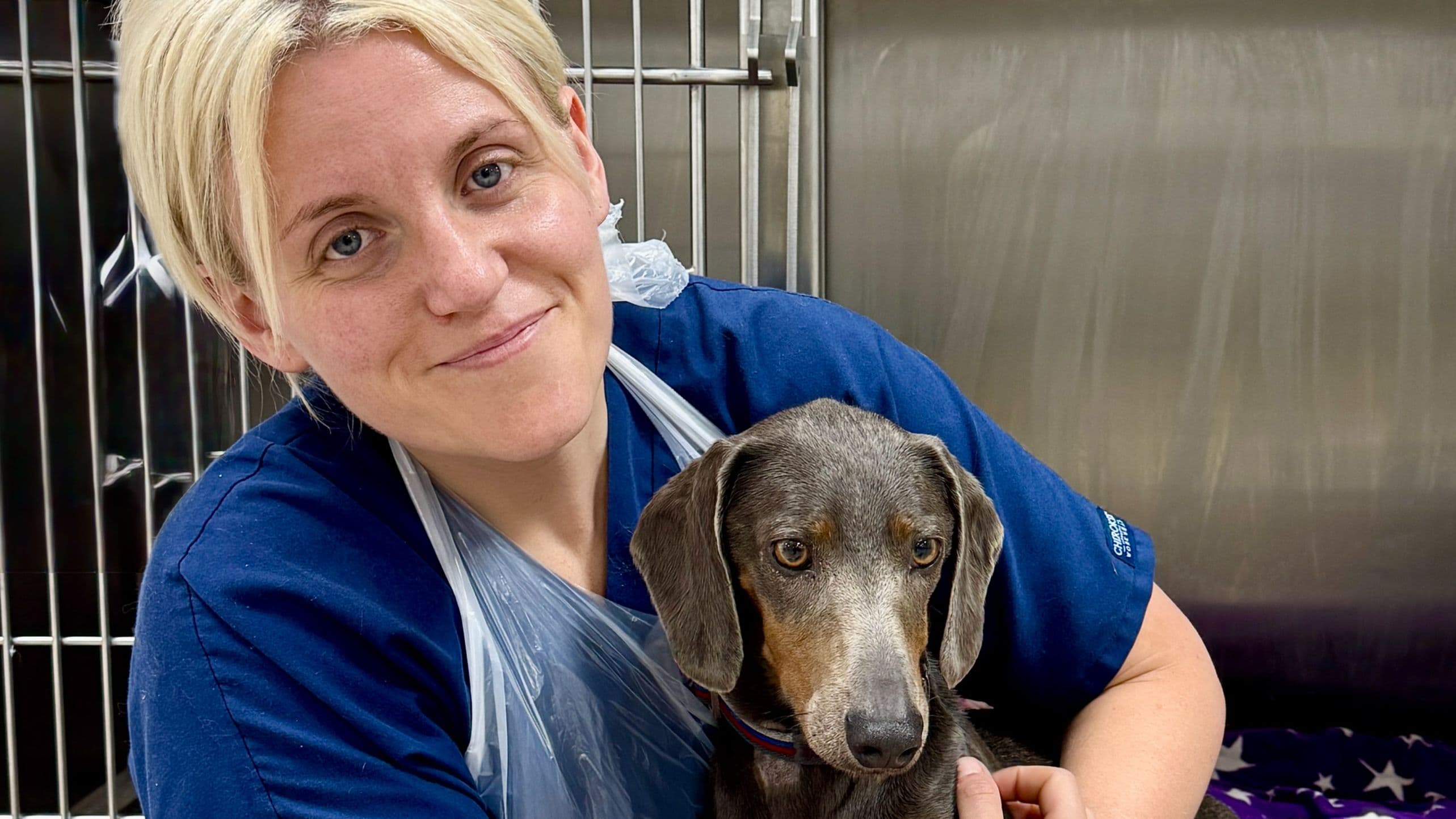 Pet Emergency Surgery at Barnsley for Korker 