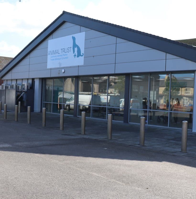 Affordable Vet Care in Rhyl 