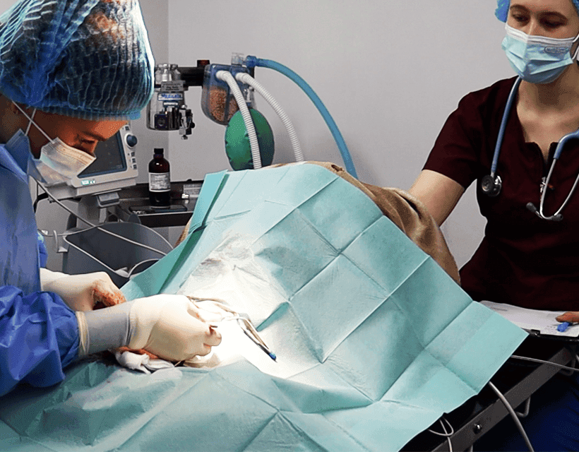 Abdominal Surgery