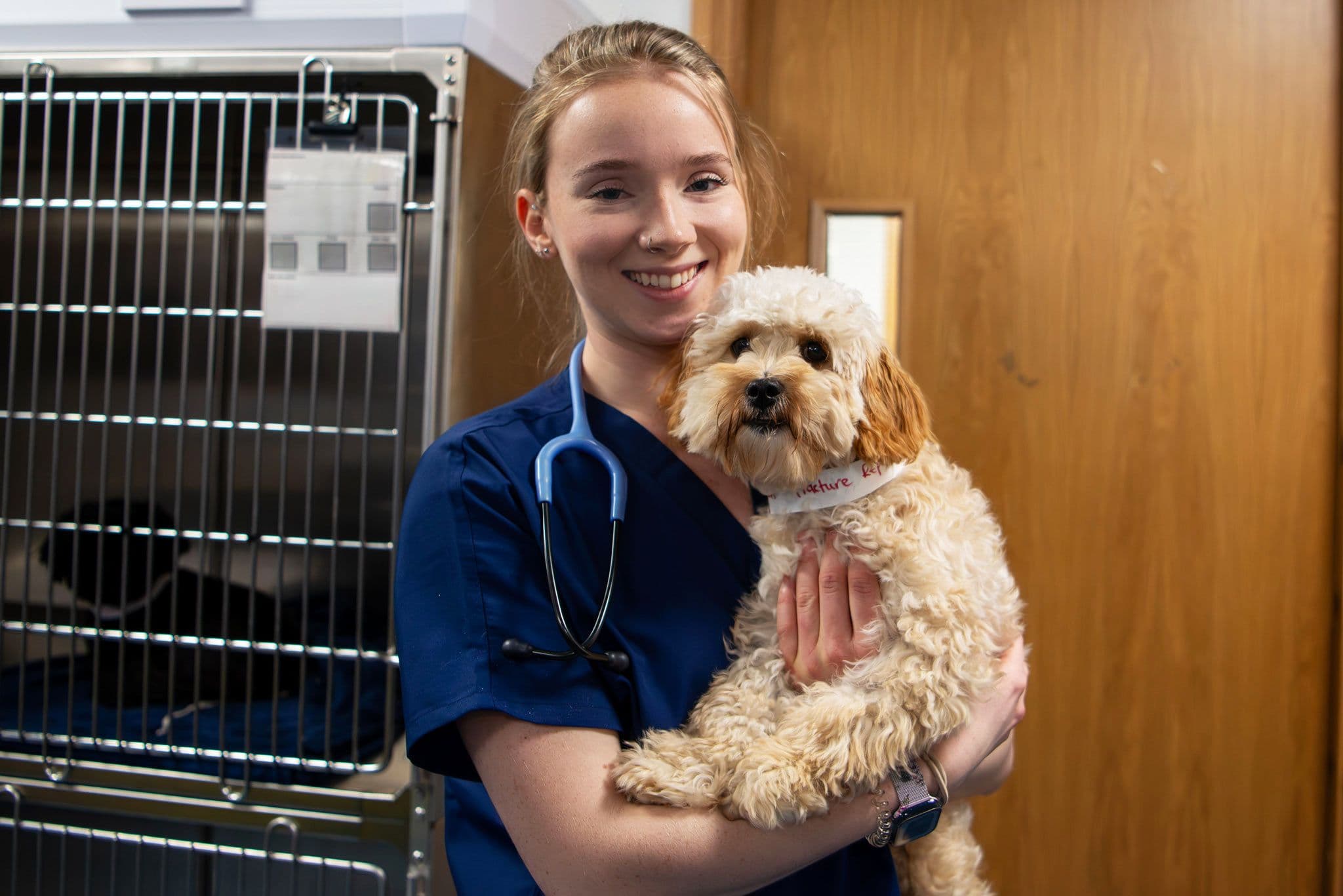 Animal Trust Vets St Helens - Opening September 25 
