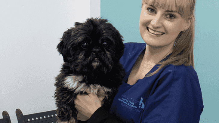 Budgeting for Vet Care