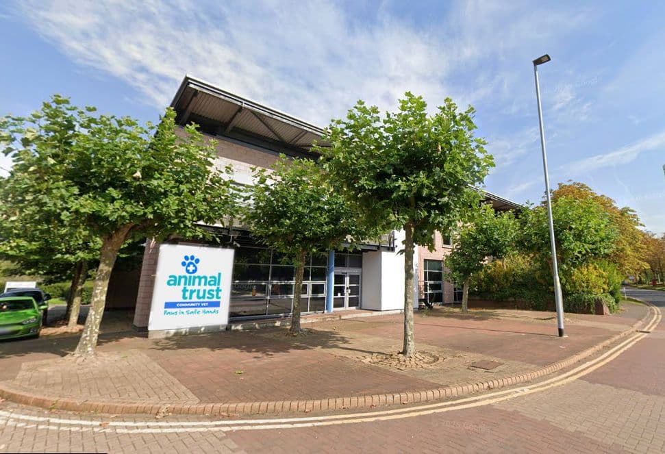 Animal Trust Vets Warrington with 24/7 Pet A&E Opening Summer 2026