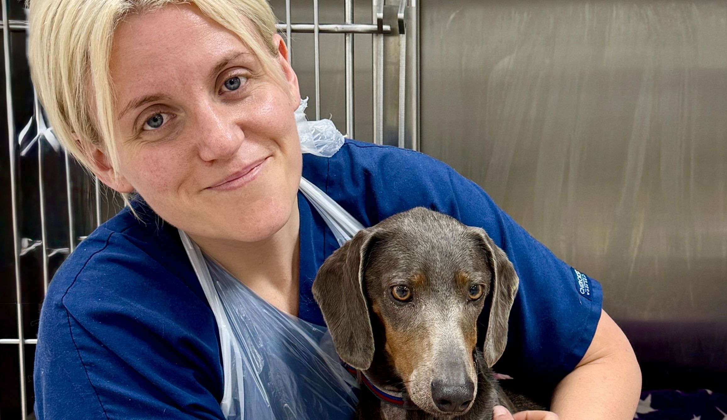 Korker: Foreign Body Emergency Pet Surgery at Barnsley