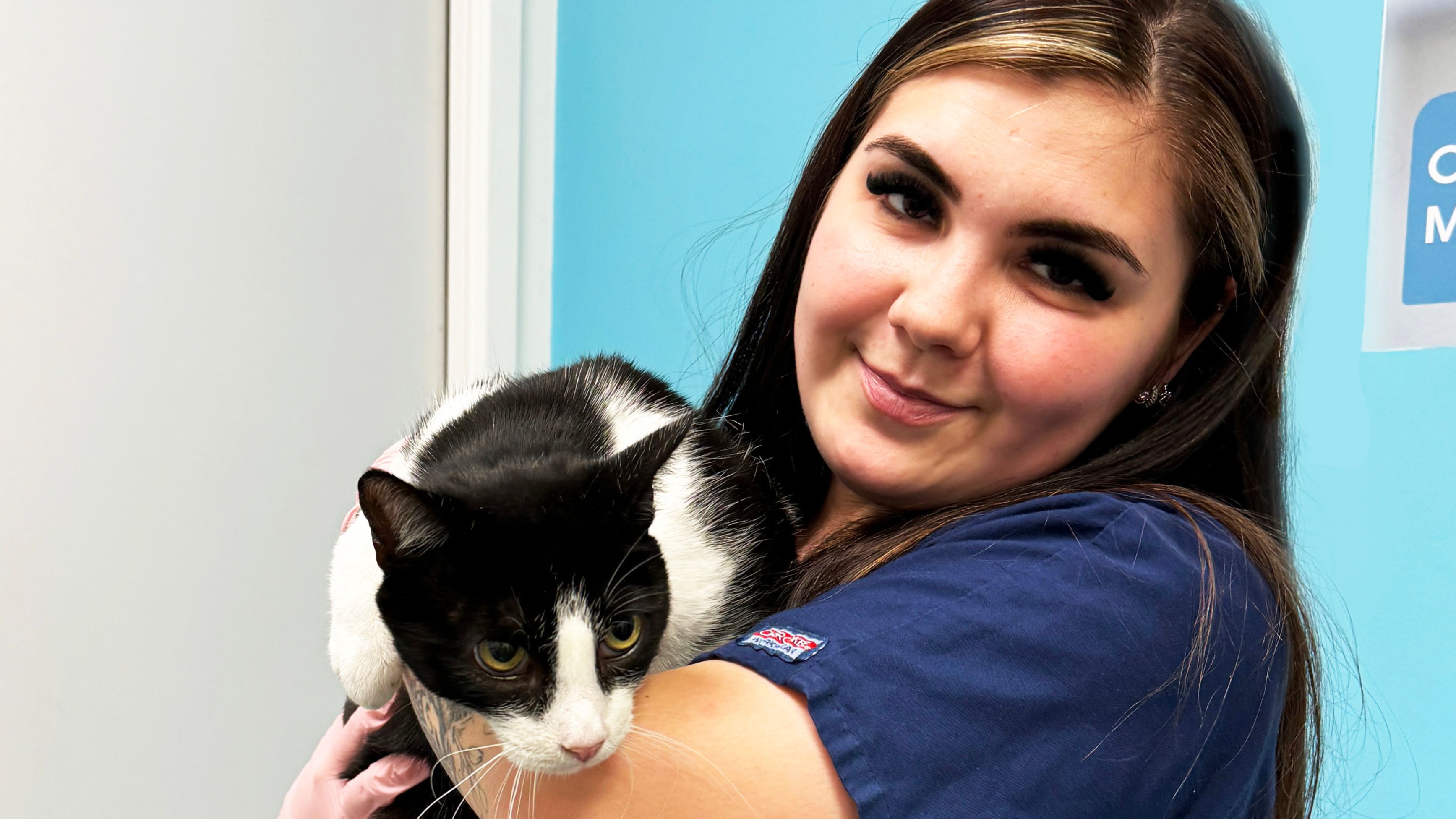Merlin Successfully has Mass Removed at Animal Trust Ashton in Manchester