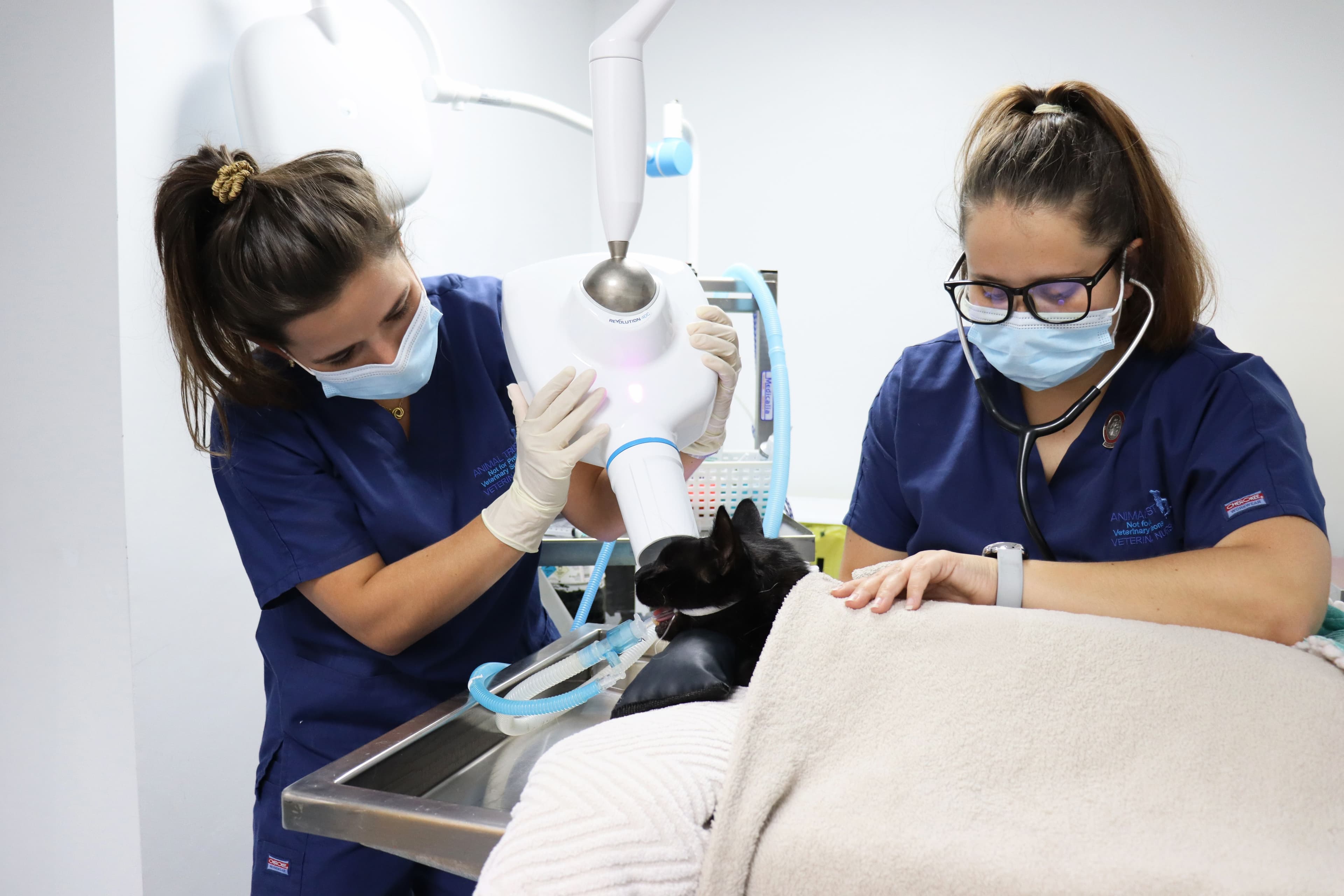 Post Operative Care: Dentistry