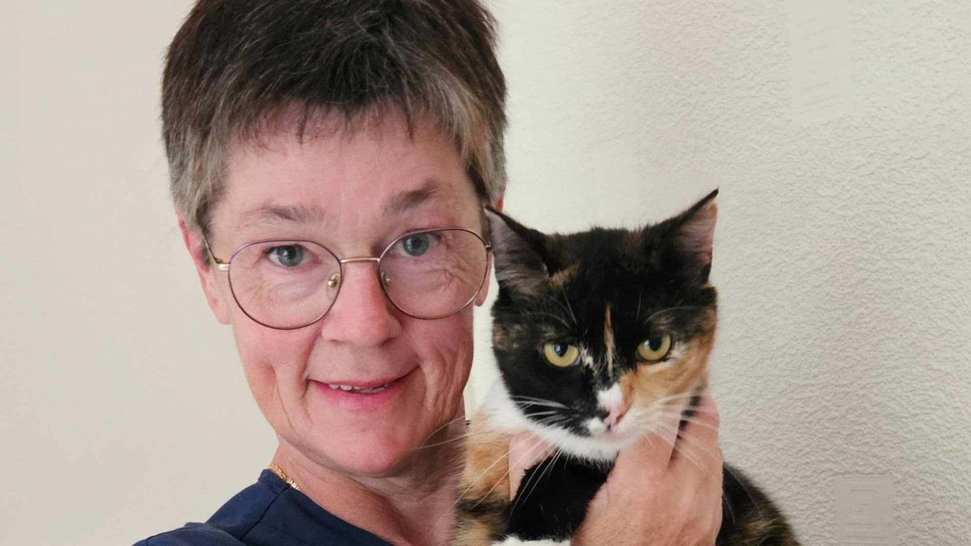 Animal Trust Vets Rhyl Awarded Gold Cat Friendly Clinic Status
