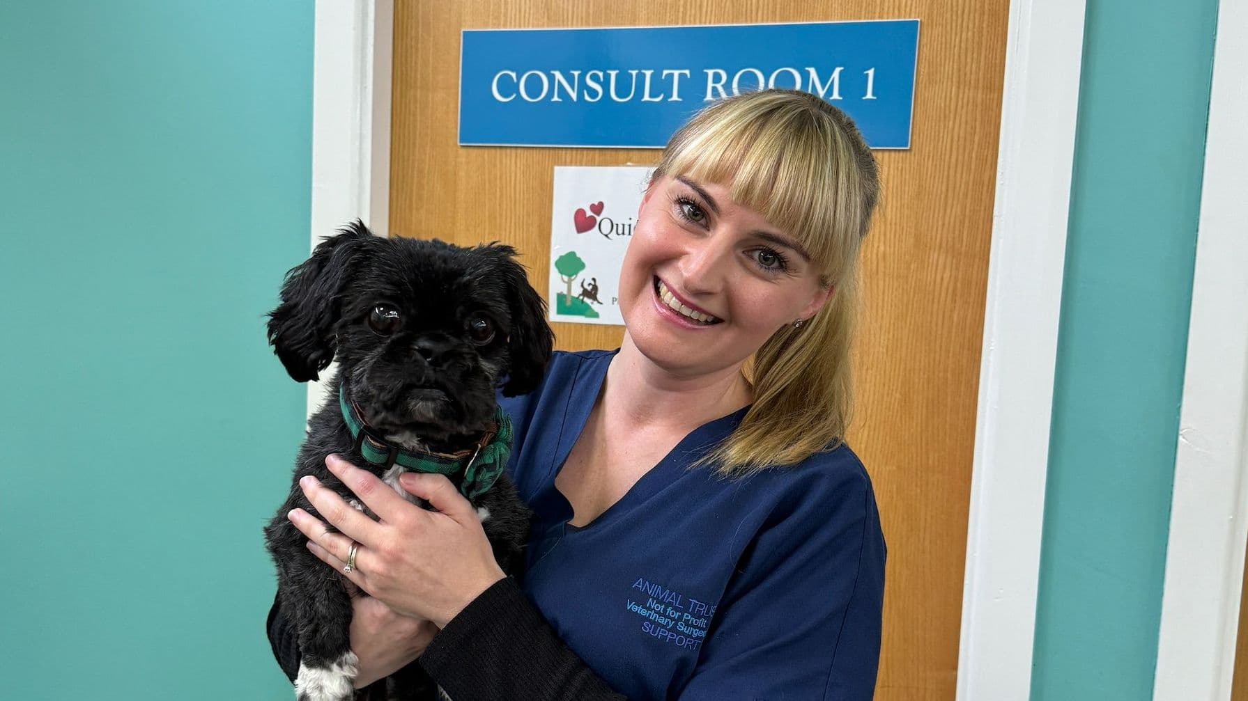 Affordable Veterinary Care for Your Pet