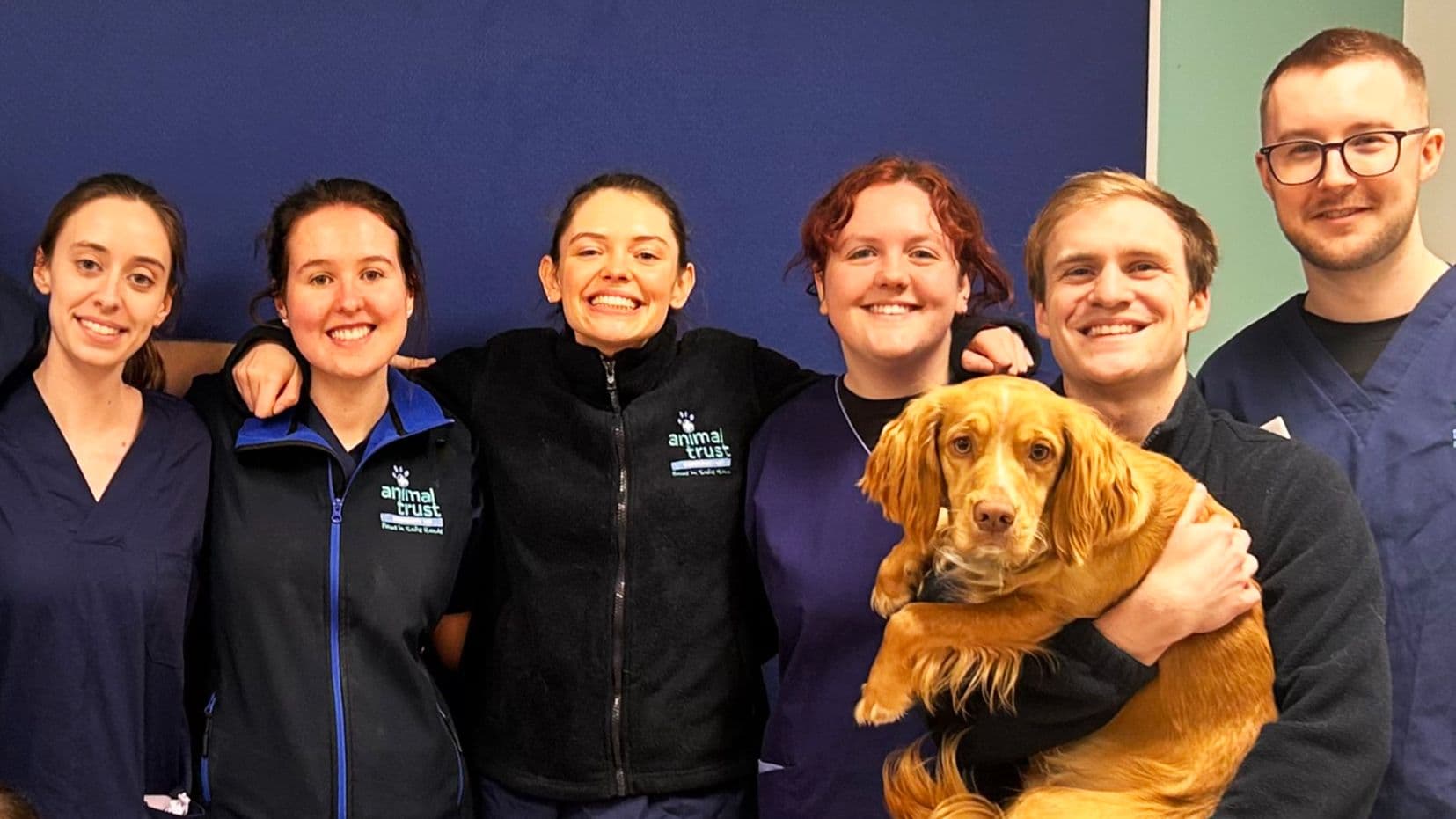 Animal Trust Veterinary New Graduate Programme UK