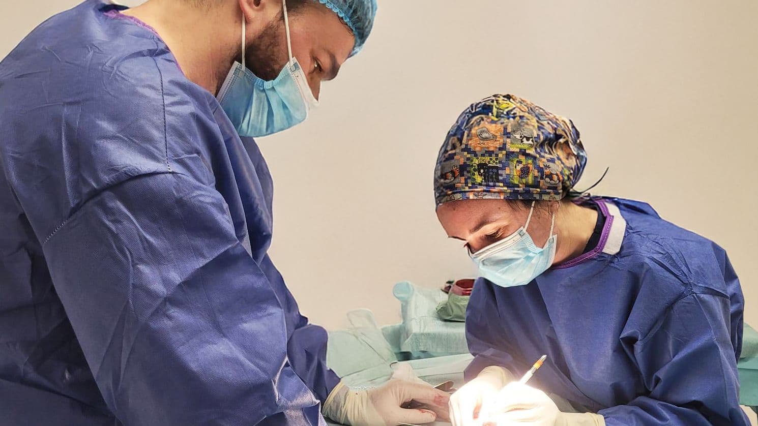 Expert Soft Tissue Surgery for Dogs and Cats