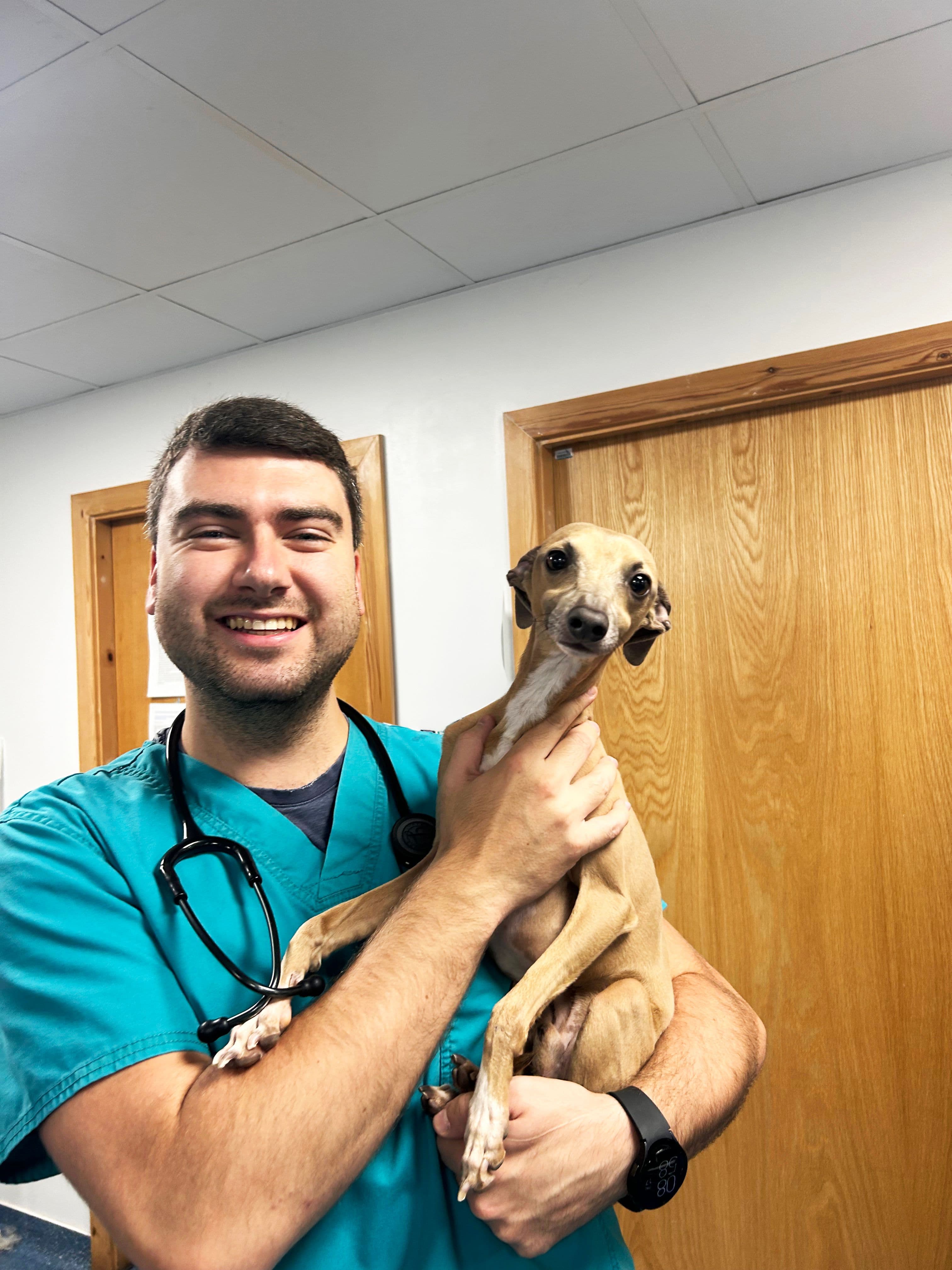 Animal Trust Failsworth - Trusted, Affordable Vets in Failsworth
